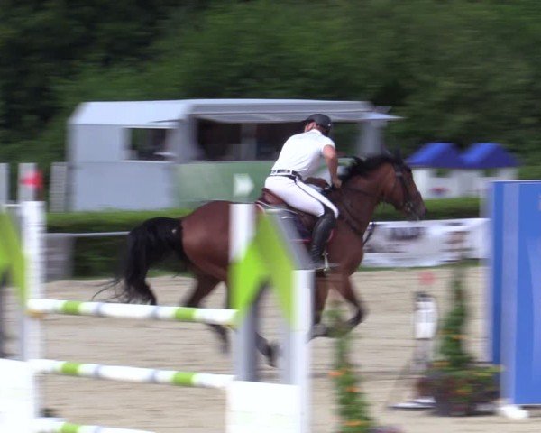 Reitturnier Weiswampach  2024