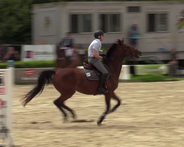 Reitturnier Weiswampach  2024