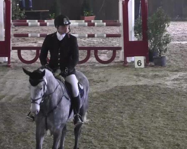 Nationales Hallenspringturnier Sauldorf- Boll 2013