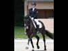 dressage horse Die Schwarze Perle (Hanoverian, 2013, from Decurio 3)