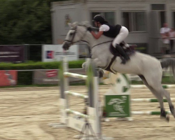 Reitturnier Weiswampach  2024