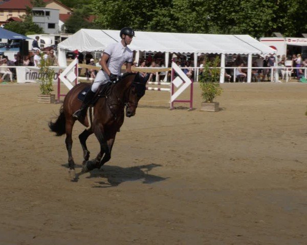 Reitturnier Heiligenwald 2024