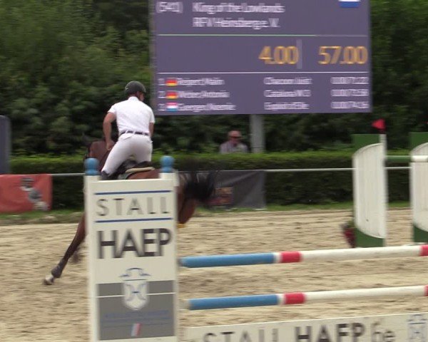 Reitturnier Weiswampach  2024