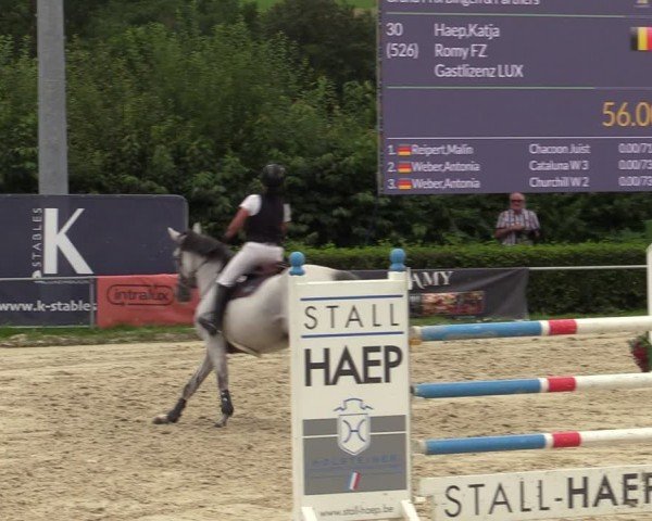 Reitturnier Weiswampach  2024