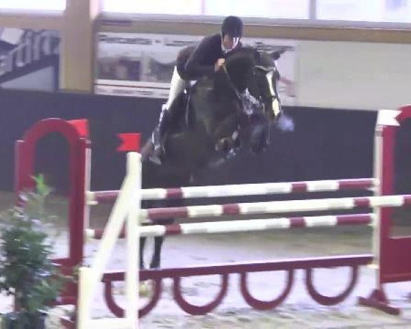 Nationales Hallenspringturnier Sauldorf- Boll 2013