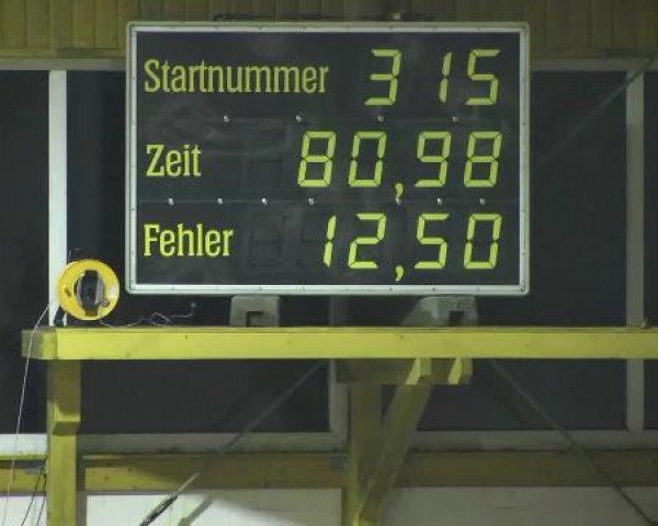 Nationales Hallenspringturnier Sauldorf- Boll 2013