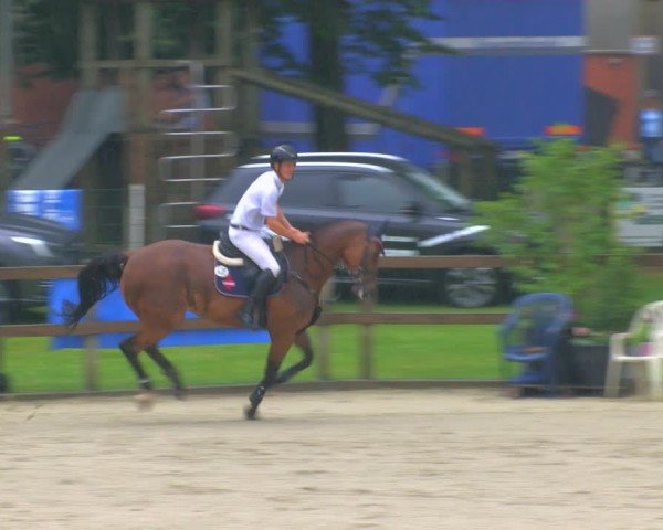 Reitturnier Barlo-Bocholt 2024