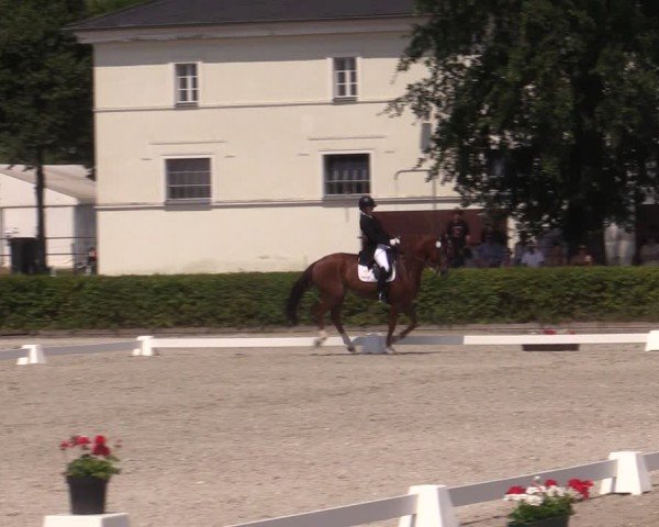 Reitturnier Neustadt/Dosse 2024
