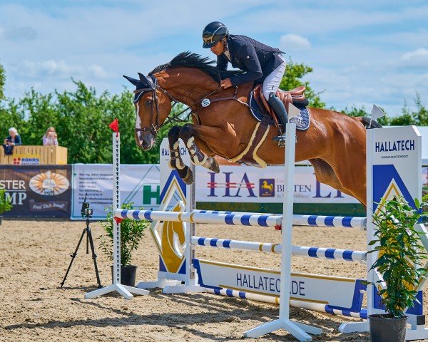 jumper Emmerson VH (Oldenburg show jumper, 2020, from Emerald van 't Ruytershof)