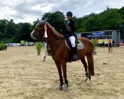 broodmare Rednex 28 (German Sport Horse, 2016, from Roxett)