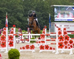 jumper Lord Louis S 3 (Hanoverian, 2014, from Pikeur Lord Fauntleroy)