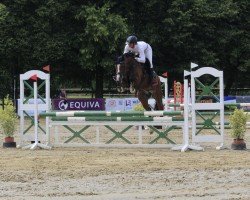 jumper Quick Qualita (Hanoverian, 2020, from FRH Quaid)