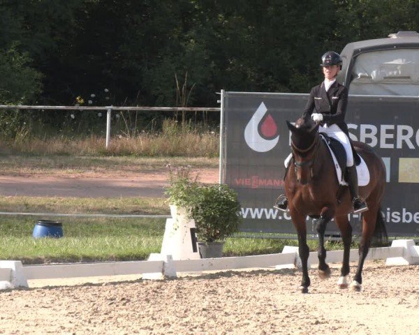 Reitturnier Heiligenwald 2024