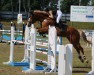 jumper Victor 184 (Oldenburg show jumper, 2015, from Viscount 22)