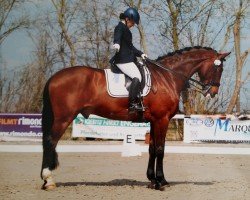 dressage horse Fey's Don Luis (Westphalian, 2007, from Del Cento)