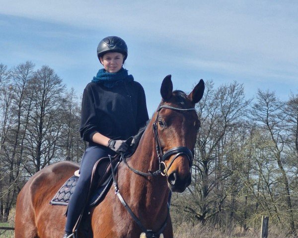 broodmare Henriette (Oldenburg, 2011, from Hotline)