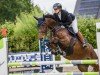 jumper Kinka 4 (Holsteiner, 2017, from Herald 3)