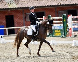 Zuchtstute Destina GS (Deutsches Reitpony, 2018, von Dance Star AT)