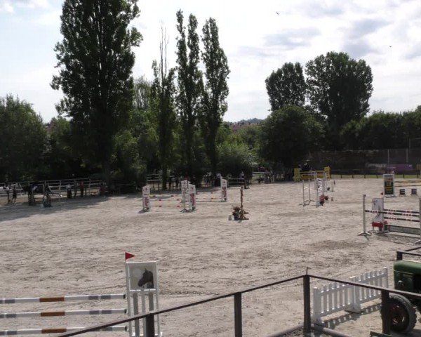 Reitturnier Würzburg/Ufr. 2024