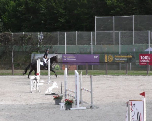 Reitturnier Würzburg/Ufr. 2024