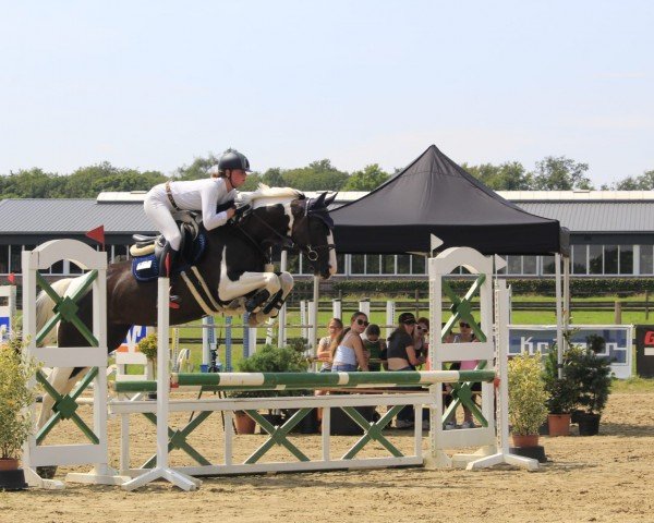 jumper Taloubiene Z (Zangersheide riding horse, 2019, from Taloubet Z)