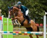 jumper Beverly Hills 10 (German Sport Horse, 2014, from Cartouche van het Zorgvliet)