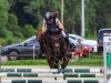 jumper Batida 136 (German Riding Pony, 2017, from Bon Jovi)