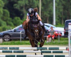 jumper Batida 136 (German Riding Pony, 2017, from Bon Jovi)