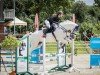 jumper Clearvisto (German Sport Horse, 2011, from Clarimo Ask)