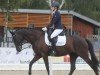 broodmare Donauperle 10 (Hanoverian, 2016, from De Niro)