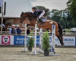 Springpferd Carla Carrera (Zangersheide Reitpferd, 2019, von Carrera VDL)