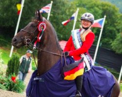 jumper Sir Douglas 10 (Irish Sport Horse, 2006, from Douglas)