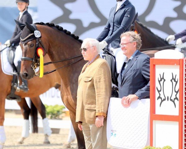 dressage horse Pacynski W (Trakehner, 2013, from Insterburg TSF)