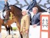 dressage horse Pacynski W (Trakehner, 2013, from Insterburg TSF)