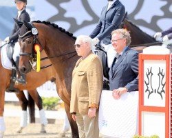 Dressurpferd Pacynski W (Trakehner, 2013, von Insterburg TSF)