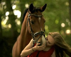 jumper Charly 1615 (German Sport Horse, 2011, from Cardenio)