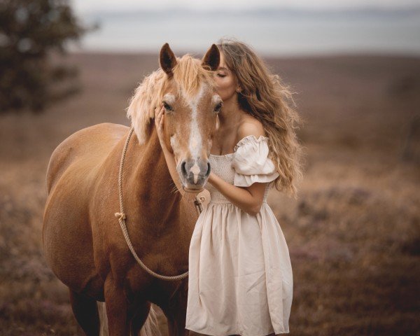 broodmare Prinzessin (Welsh-Pony (Section B), 2001, from Twylands Firecracker)