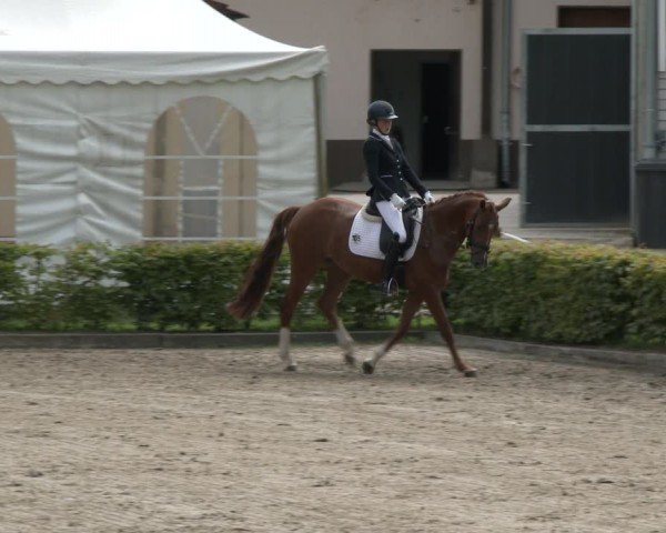 Reitturnier Olfen-Vinnum 2024