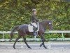 broodmare Alana (German Riding Pony, 2012, from Kennedy WE)