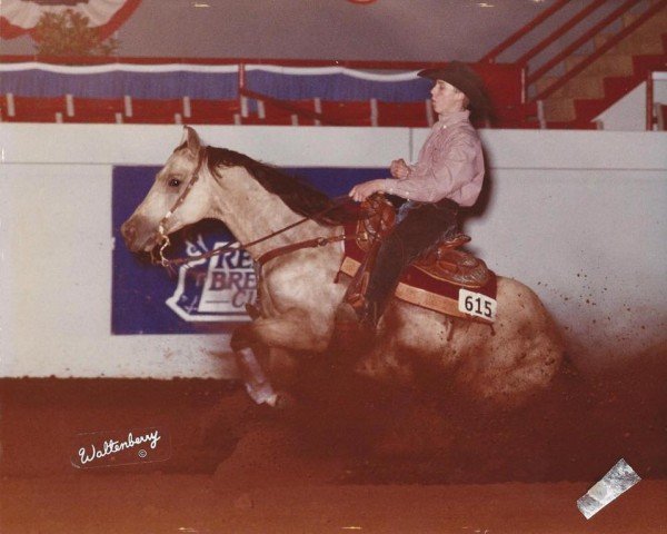 broodmare Blonde at the Bar (Quarter Horse, 1991, from Hollywood Jac 86)