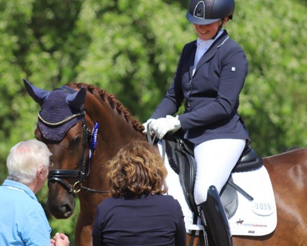 dressage horse Bon Danse (Hanoverian, 2020, from Bon Courage 4)