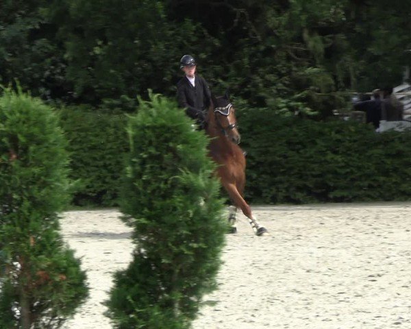 Reitturnier Vlotho-Exter 2024