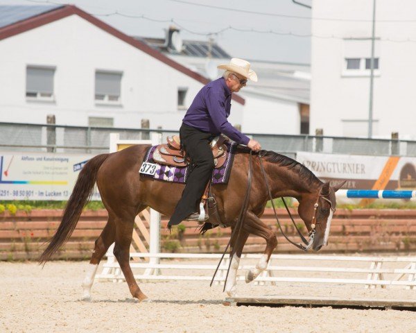 Pferd Miss Custom Vintage (Quarter Horse, 2007)