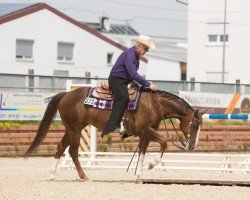 horse Miss Custom Vintage (Quarter Horse, 2007)