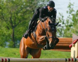 broodmare Sandra du Poncel (Selle Français, 2006, from Gabyscion)