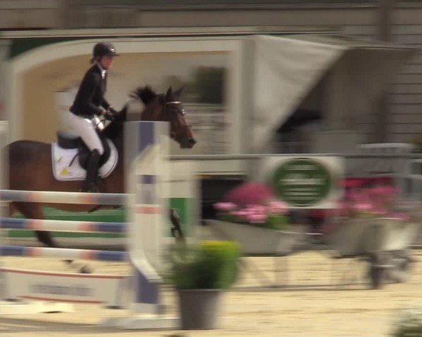 Reitturnier Olfen-Vinnum 2024
