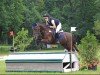 dressage horse Ton (New Forest Pony, 2005, from Major)