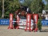 jumper Balous Best (Oldenburg show jumper, 2019, from Balou du Rouet)