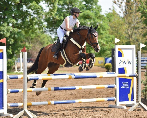 jumper Emilio 109 (Zweibrücken, 2007, from Escudeur)