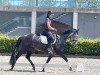 dressage horse Monete W (German Sport Horse, 2020)